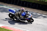 brands-hatch-photographs;brands-no-limits-trackday;cadwell-trackday-photographs;enduro-digital-images;event-digital-images;eventdigitalimages;no-limits-trackdays;peter-wileman-photography;racing-digital-images;trackday-digital-images;trackday-photos